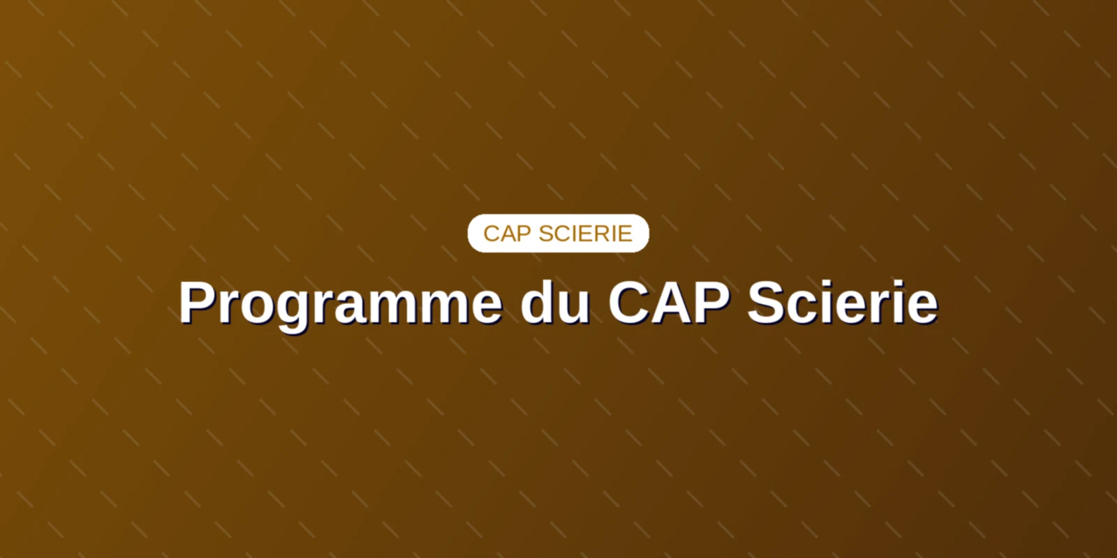 Programme du CAP Scierie : guide officiel et épreuves Couverture : Programme de formation, blocs de compétences et épreuves du CAP Conducteur-opérateur de scierie