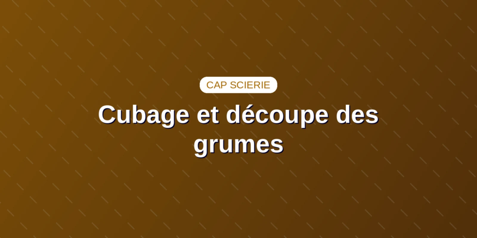 Cubage et découpe des grumes : méthode du CAP Scierie Couverture : Cubage d'Huber, orientation laser et découpe de grumes au CAP Scierie